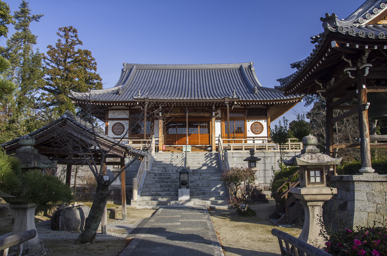 よ*ぃ様 佐野大義『日々是好日』達磨画賛 美品 臨済宗達磨寺11代山主 京都妙心 よ*ぃ様 佐野大義『日々是好日』達磨画賛 美品 臨済宗達磨寺11代